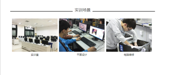 計算機應用與維修與網絡設備銷售 現代信息技術服務的雙重支柱